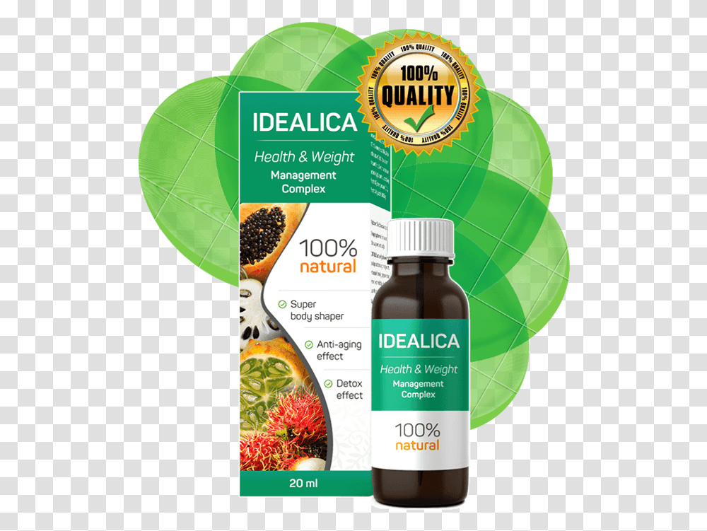 Idealica, Plant, Flyer, Poster, Paper Transparent Png