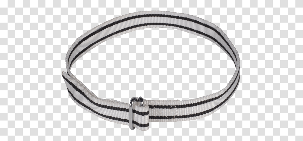 Identification Collars, Accessories, Accessory, Jewelry, Bracelet Transparent Png