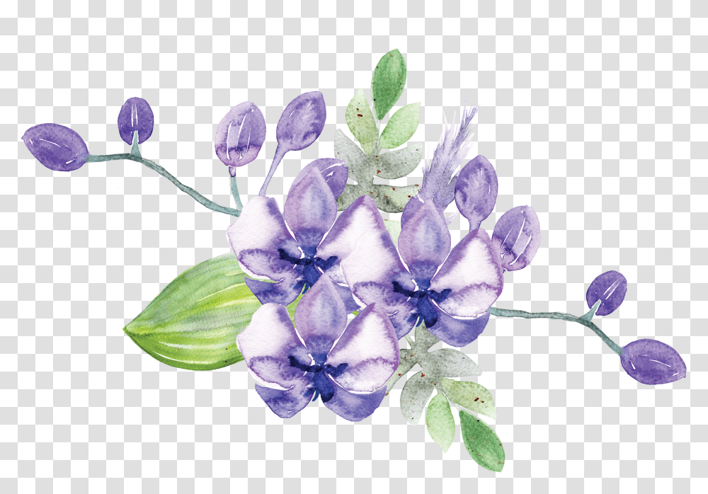 Idignity Seeds Of Hope Purple Flower Gentiana, Plant, Floral Design Transparent Png