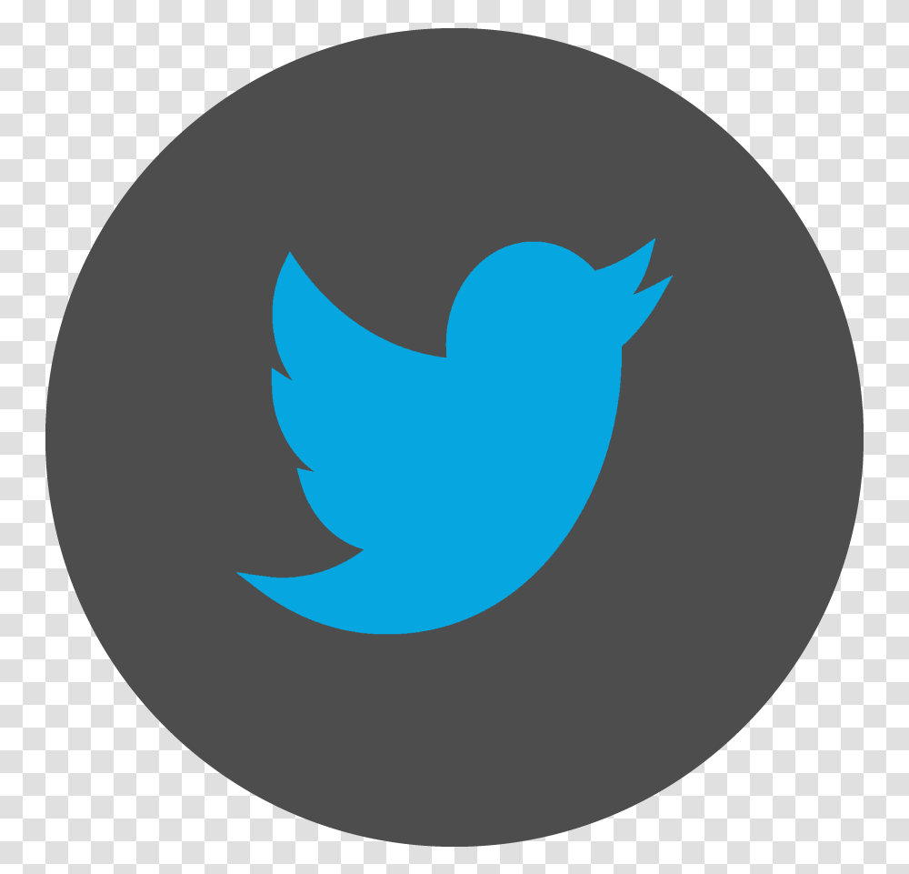 Ieyestreet Welcome Bird Twitter, Logo, Animal Transparent Png