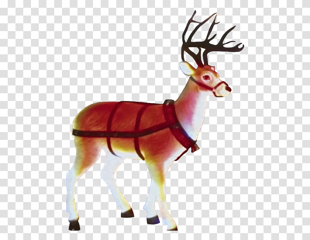 If Anyone Wants Heres A Reindeer, Wildlife, Mammal, Animal, Elk Transparent Png