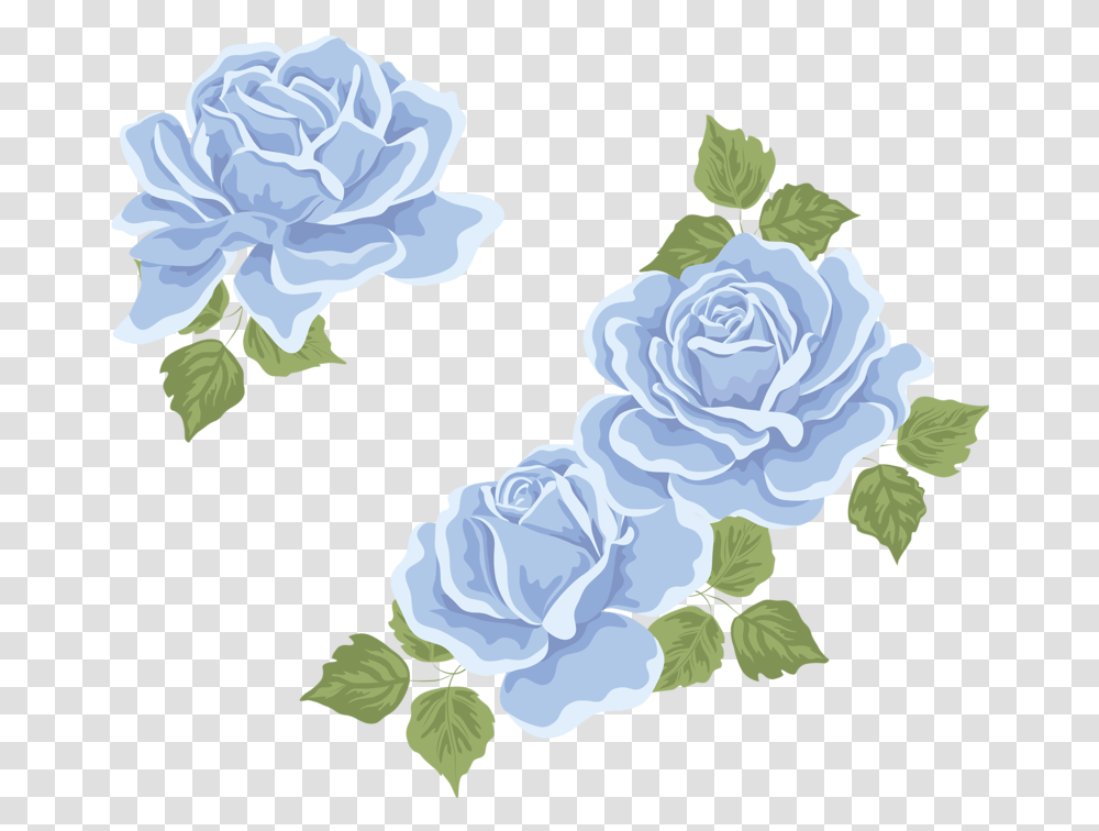 If I Can Live Through This I Can Do Anything Lyrics, Plant, Flower, Blossom, Carnation Transparent Png