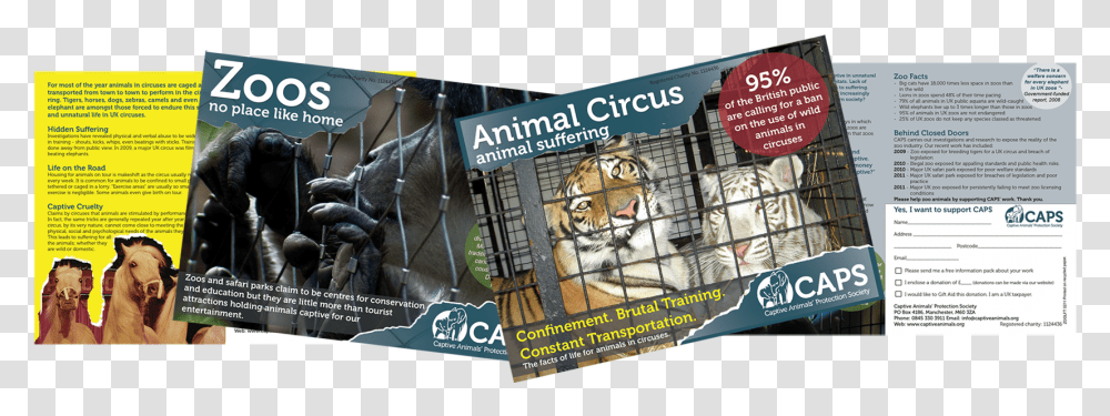 If There Are No Nearby Zoos Or Circuses For You To Flyer, Dog, Pet, Canine, Animal Transparent Png