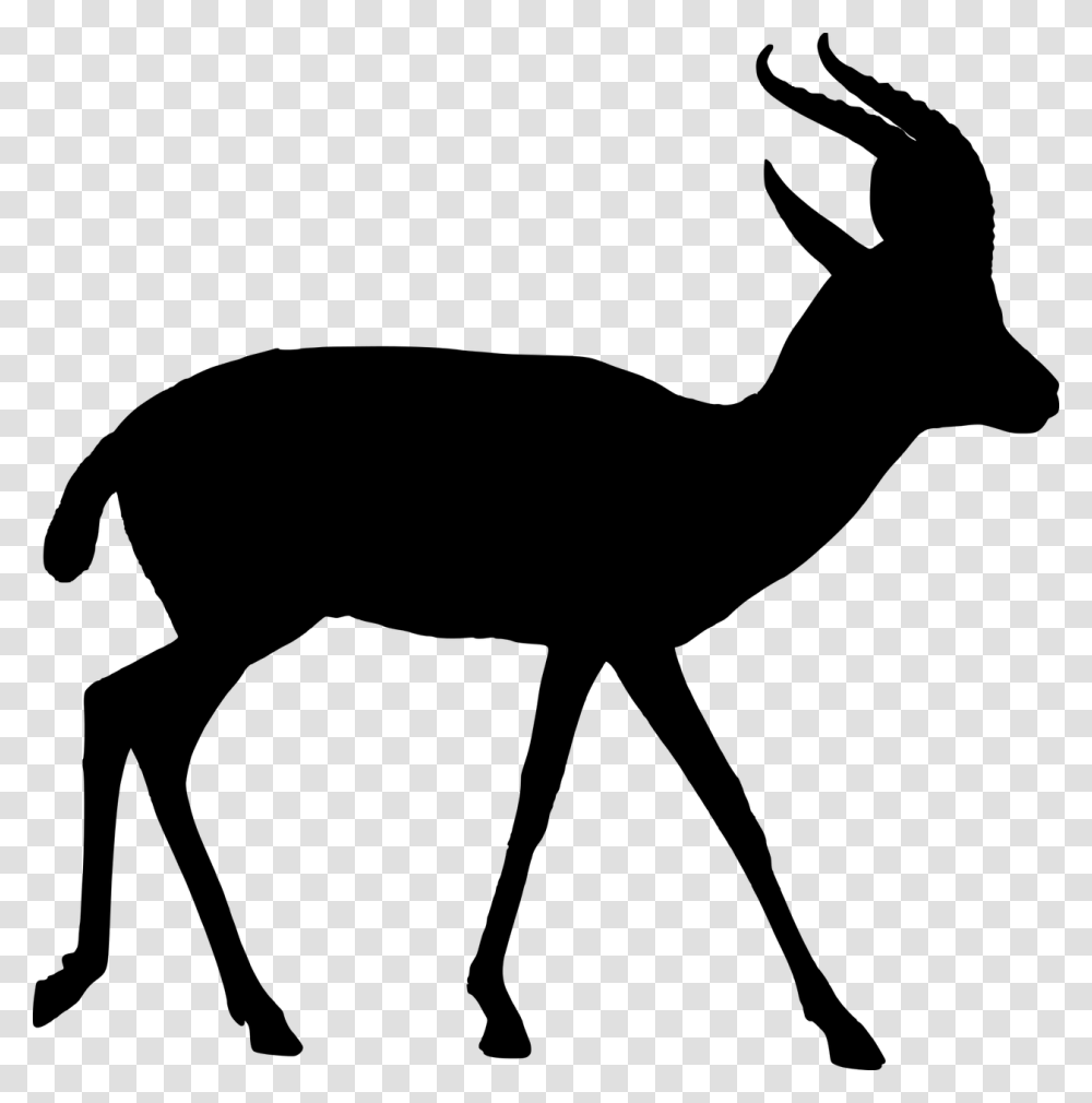 If You Enjoy My Content Please Consider Supporting African Animals Silhouette, Gray, World Of Warcraft Transparent Png