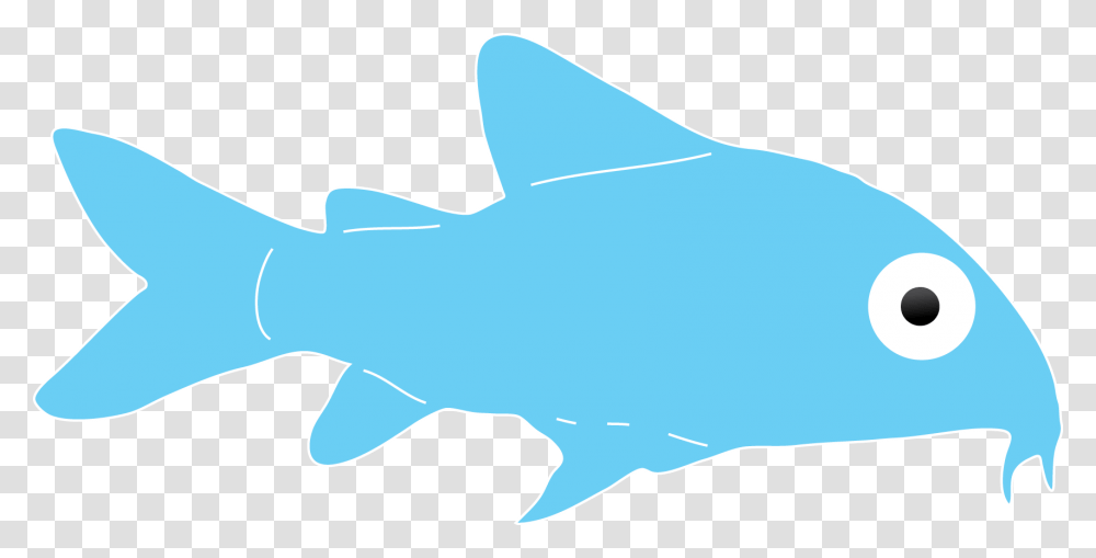 If You Look Carefully You'll Be Able To See Them Scooting Cartilaginous Fish, Shark, Sea Life, Animal Transparent Png