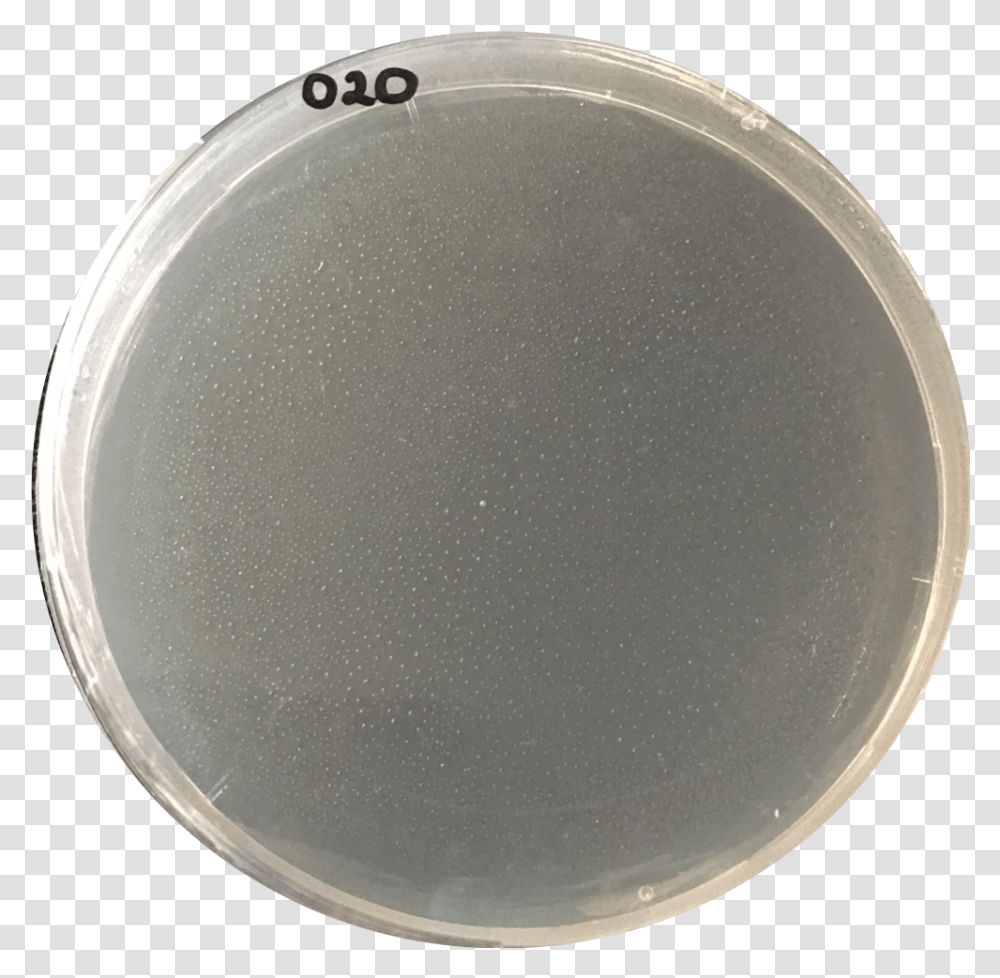 If You Play Golf Button Back Social Lubricators Button Circle, Bowl, Dish, Meal, Food Transparent Png