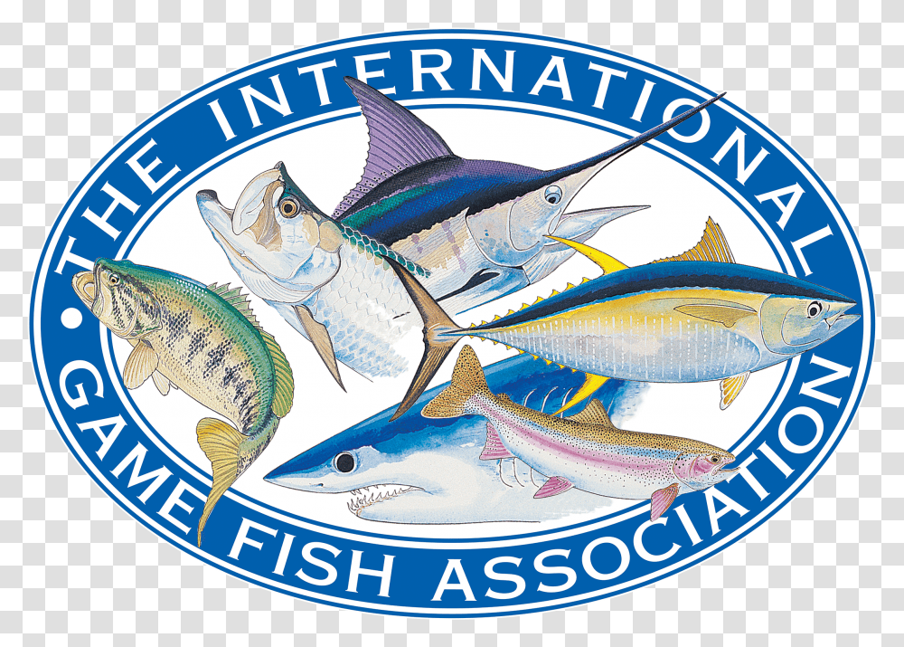 Igfa Logo International Game Fish Association, Animal, Sea Life, Tuna, Surgeonfish Transparent Png