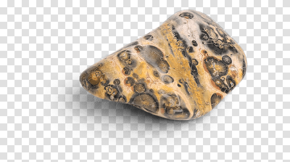 Igneous Rock, Accessories, Accessory, Jewelry, Gemstone Transparent Png