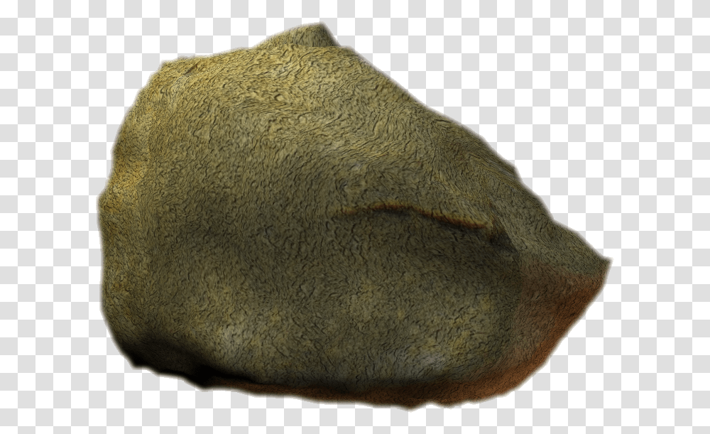 Igneous Rock, Fossil, Rug, Animal, Archaeology Transparent Png