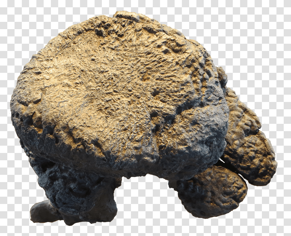 Igneous Rock Transparent Png