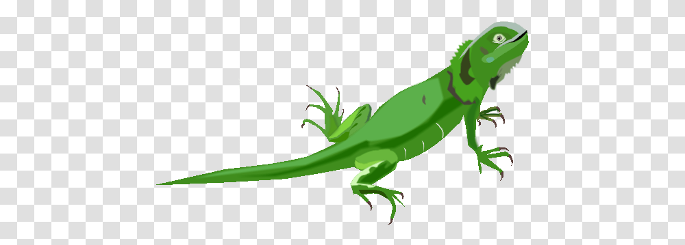 Iguana Animada Image Iguana Para, Lizard, Reptile, Animal, Green Lizard Transparent Png