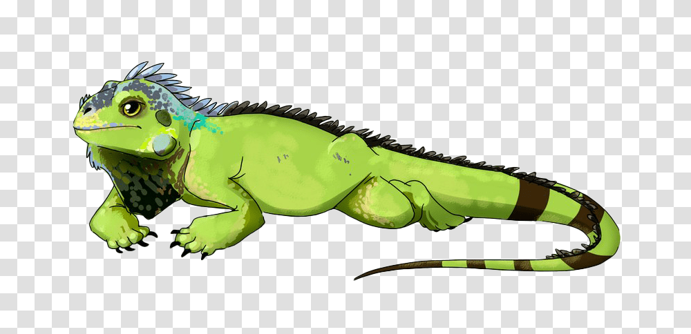 Iguana, Animals, Lizard, Reptile, Dinosaur Transparent Png