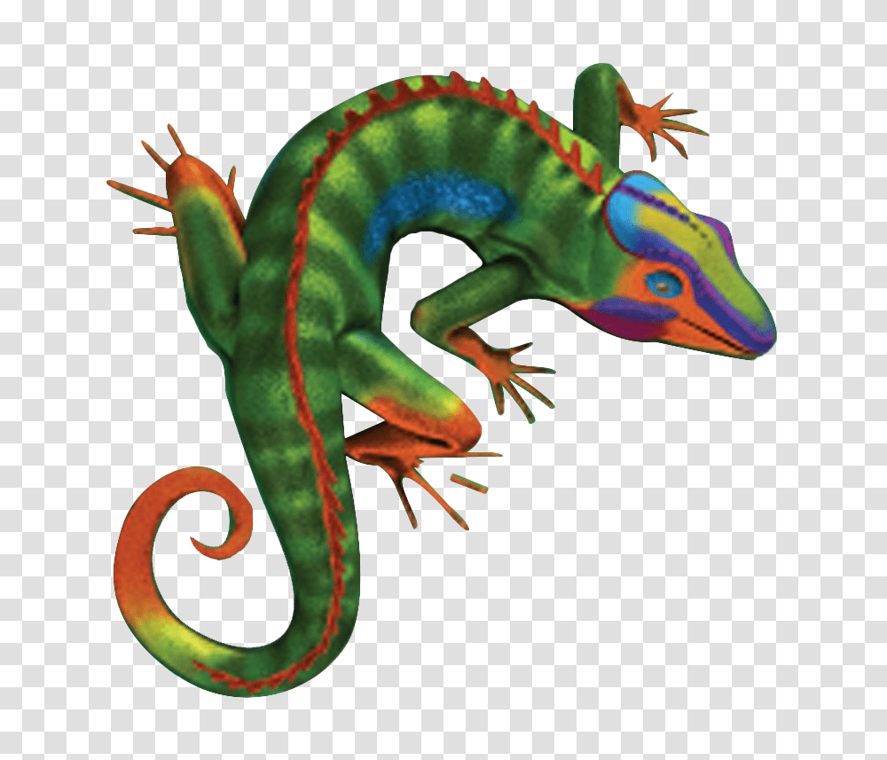 Iguana, Animals, Reptile, Lizard, Anole Transparent Png