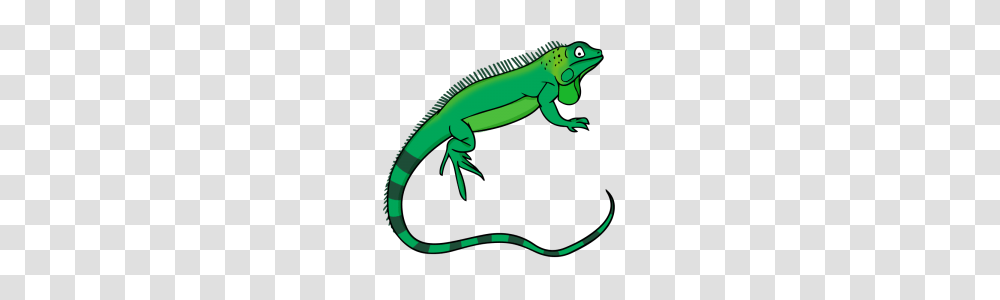 Iguana Clipart Clip Art Images, Lizard, Reptile, Animal, Shark Transparent Png