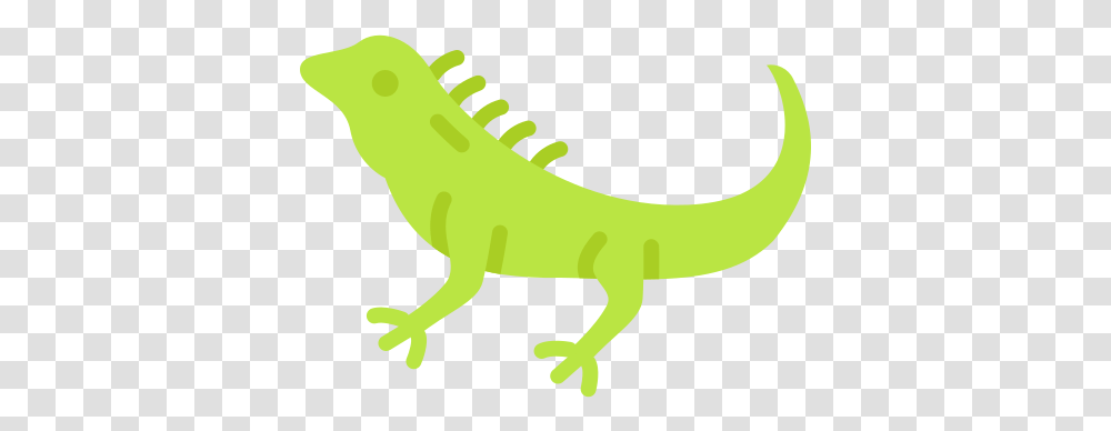 Iguana Free Animals Icons Animal Figure, Reptile, Lizard, Gecko Transparent Png
