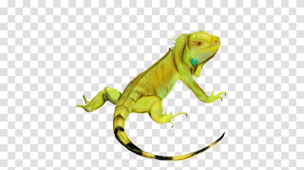 Iguana Hd, Lizard, Reptile, Animal, Dinosaur Transparent Png