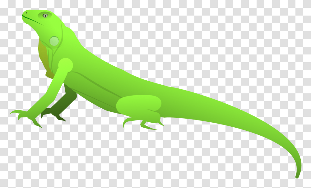 Iguana Iguana Carolina Anole 824141 Vippng Animal Figure, Gecko, Lizard, Reptile, Green Lizard Transparent Png