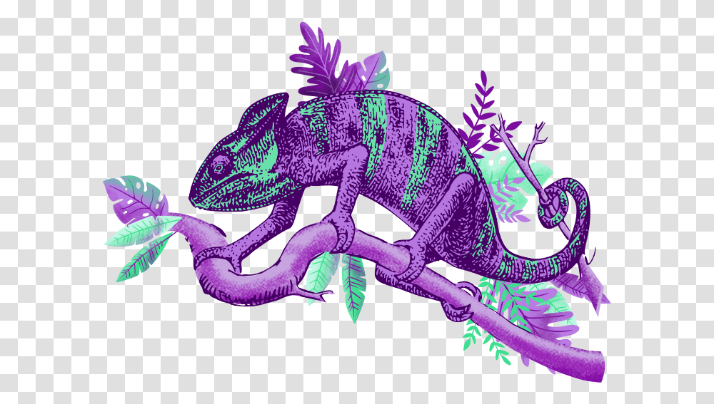 Iguana, Lizard, Reptile, Animal, Purple Transparent Png