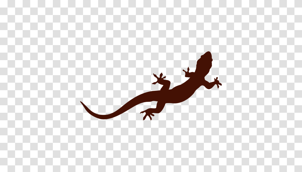 Iguana Pet Silhouette, Gecko, Lizard, Reptile, Animal Transparent Png