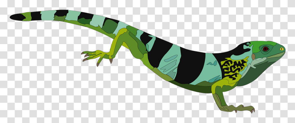 Iguana Reptile Green Green Iguana, Lizard, Animal, Green Lizard, Gecko Transparent Png