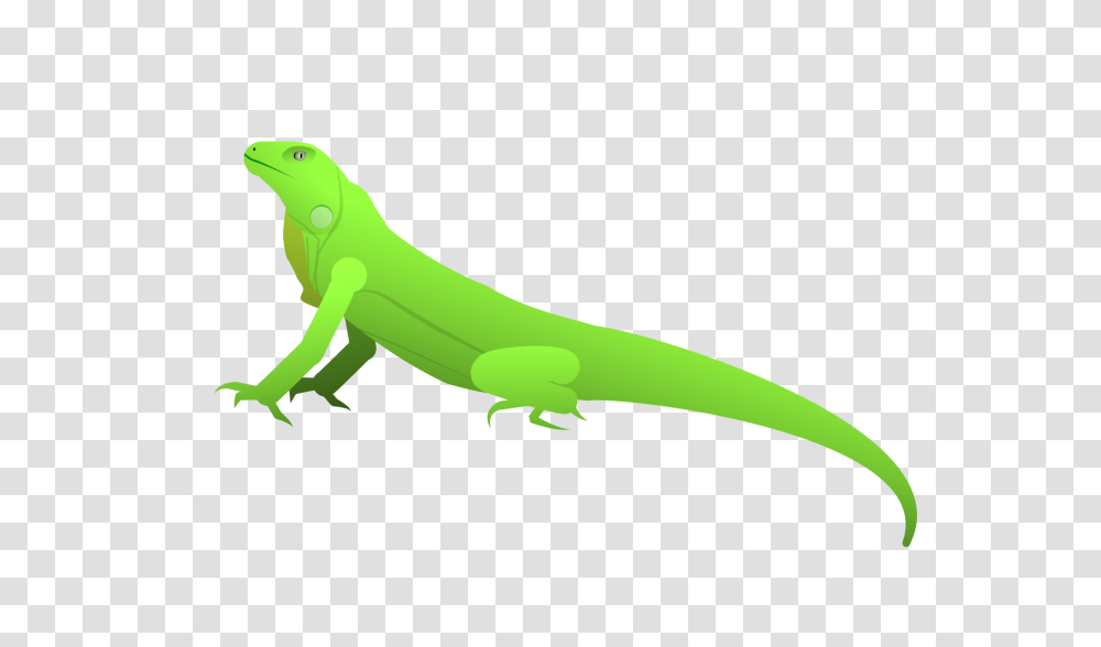 Iguana Sifz, Reptile, Animal, Gecko, Lizard Transparent Png