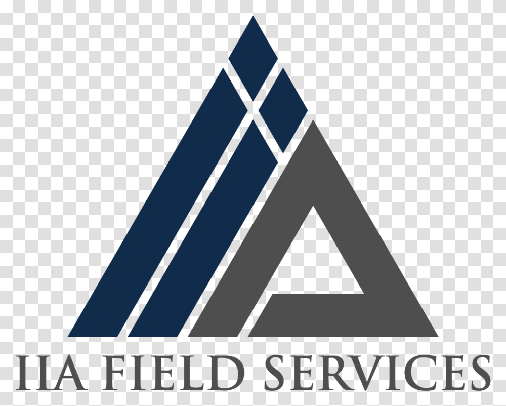 Iia Fs Logo Color Industrial Inspection And Analysis, Triangle Transparent Png