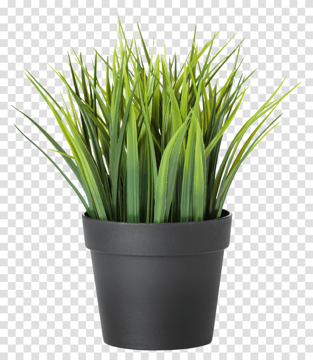 Ikea Fake Plant, Flower, Blossom, Flower Arrangement, Pot Transparent Png