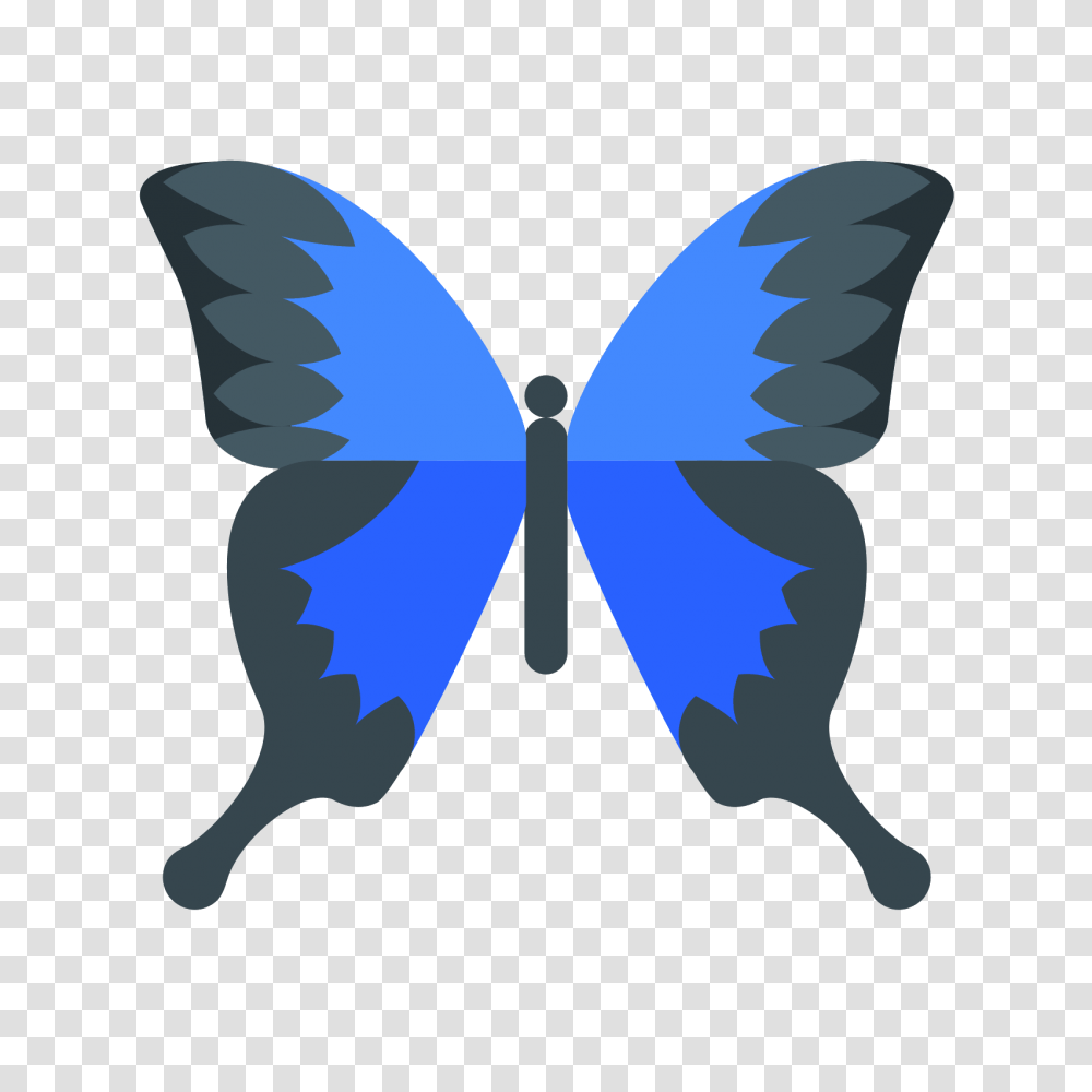 Ikonka Butterfly, Pattern, Animal Transparent Png