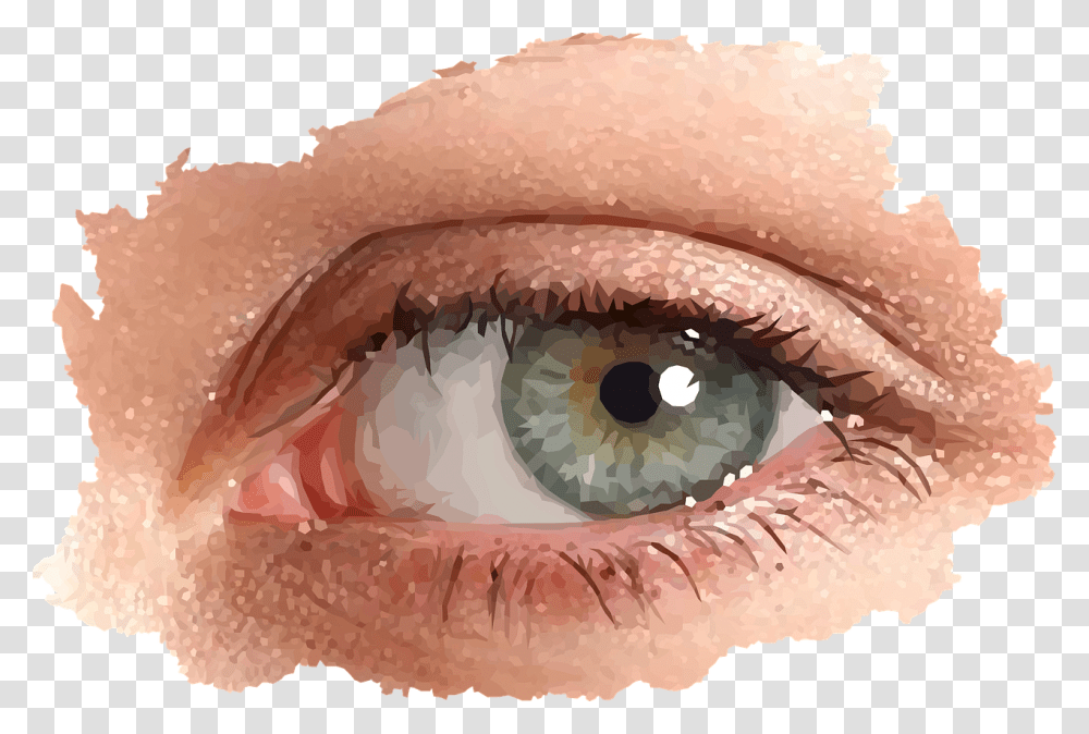 Il Look Female Free Picture Girl Real Eyes, Contact Lens, Mouth, Lip Transparent Png