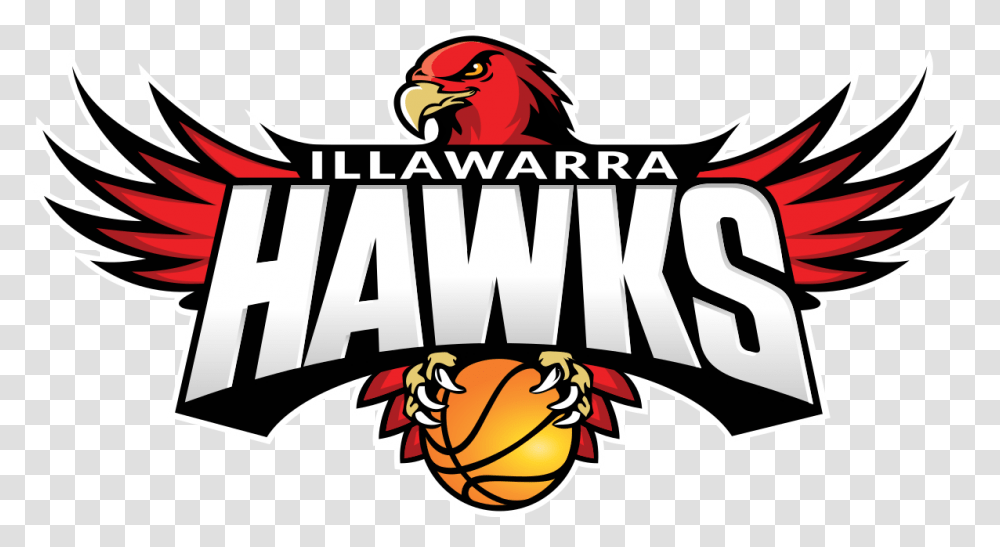 Illawarra Hawks, Bird, Animal, Logo Transparent Png