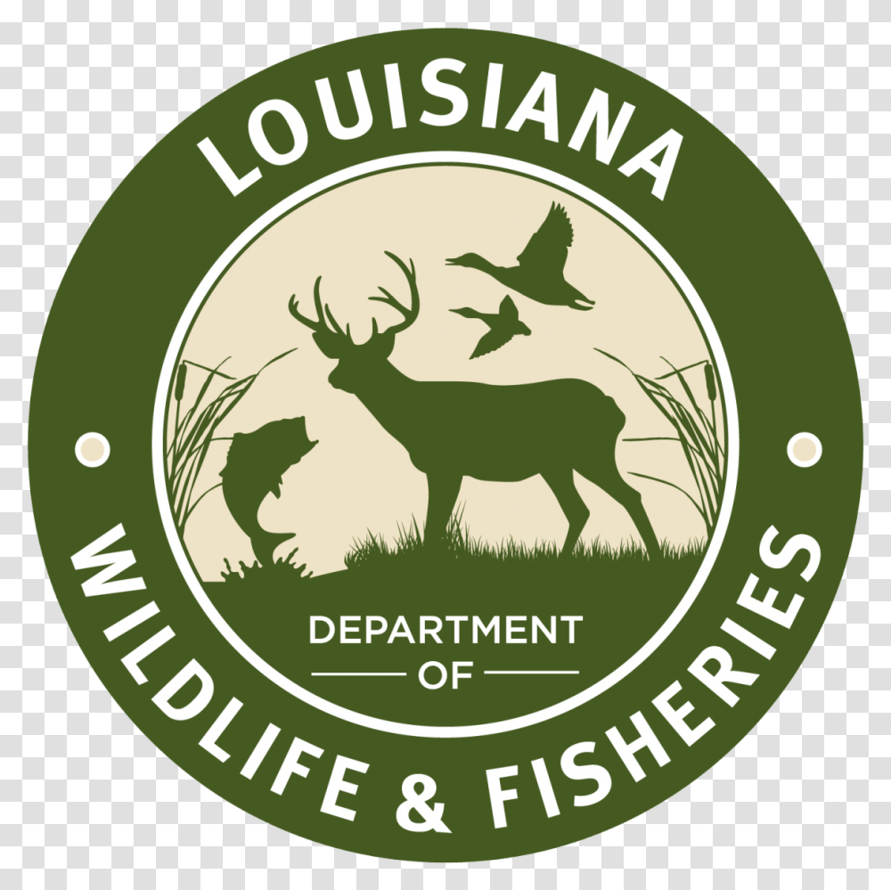 Illegal Deer Hunting Violations Louisiana Department Of Wildlife And Fisheries, Elk, Mammal, Animal, Label Transparent Png