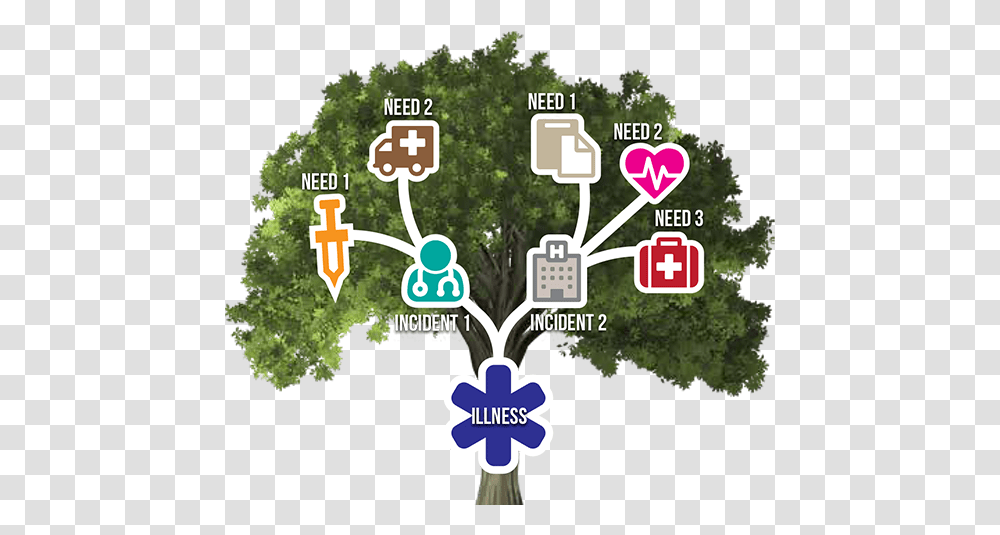 Illness Tree Tree, Vegetation, Plant, Bush, Rainforest Transparent Png