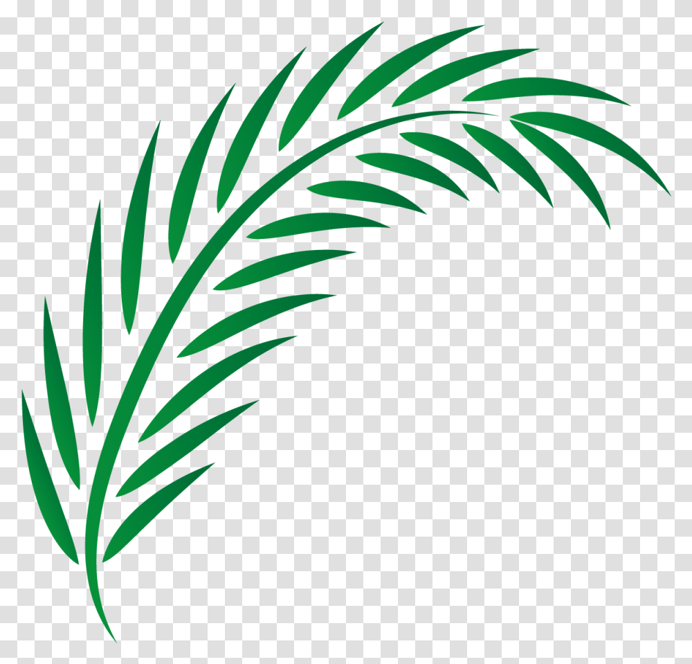 Illuminated Manuscript Clipart Vector Palm Leaves, Green, Plant, Bird, Animal Transparent Png