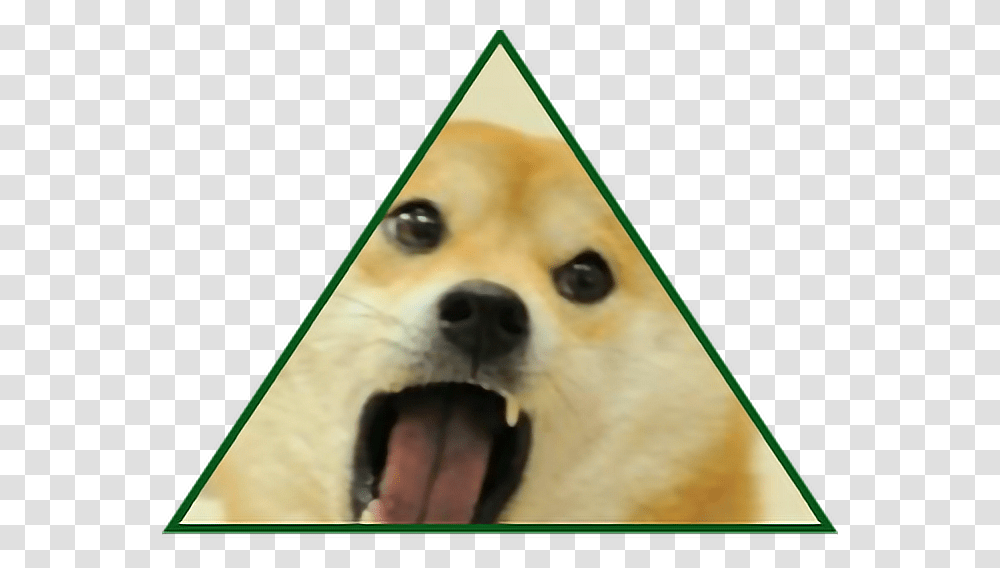 Illuminati Doge Meme Memesfreetoedit Red Doge Meme, Person, Human, Canine, Mammal Transparent Png