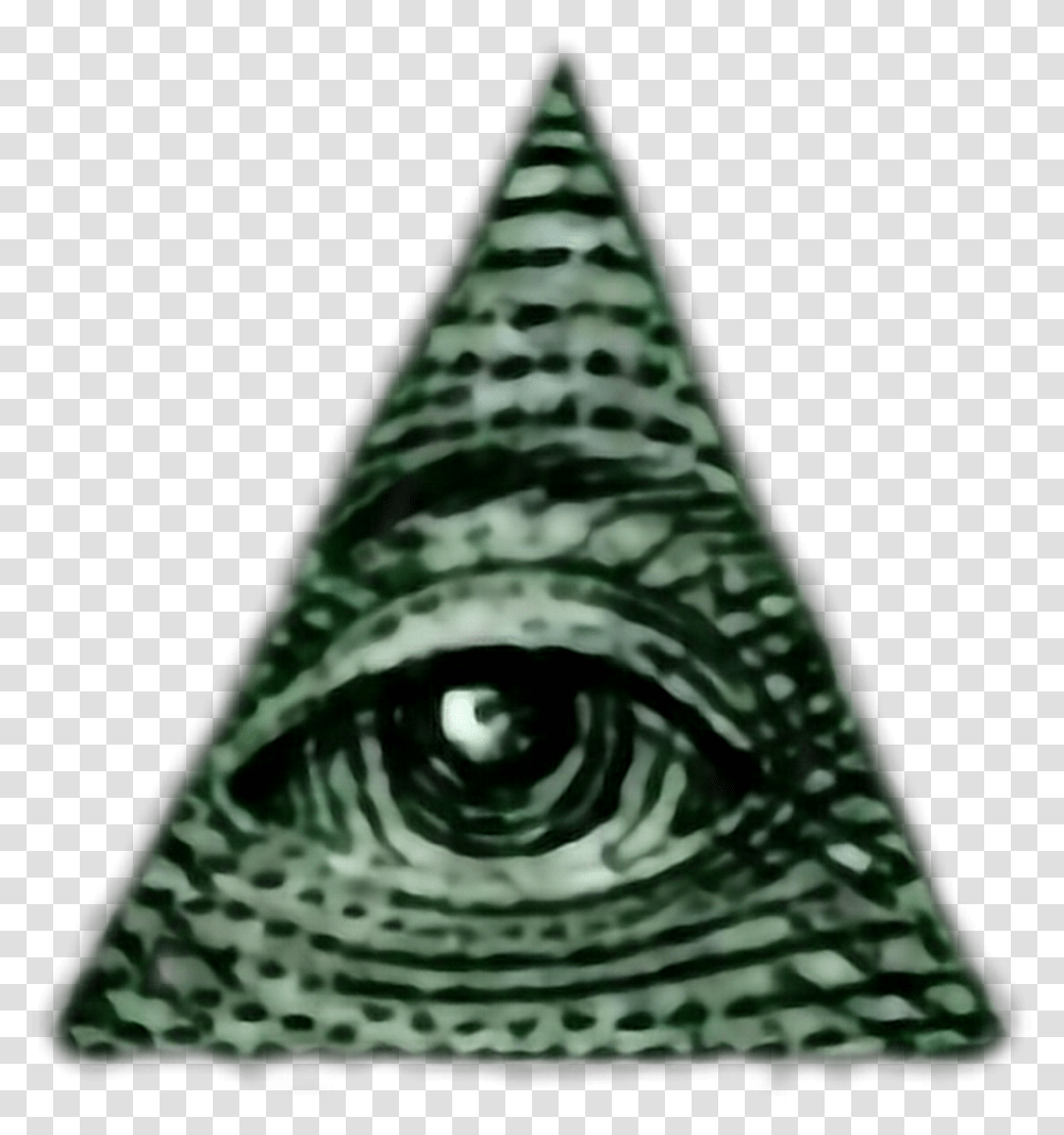 Illuminati, Triangle, Bird, Animal, Arrowhead Transparent Png