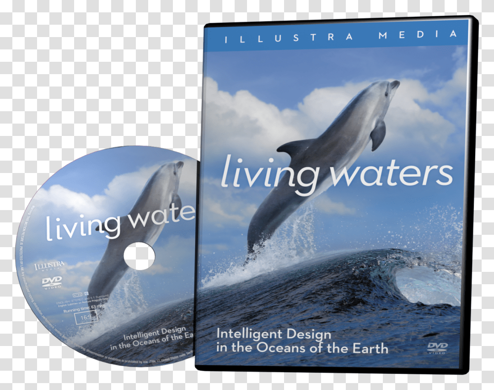 Illustra Media Living Waters, Dolphin, Mammal, Sea Life, Animal Transparent Png