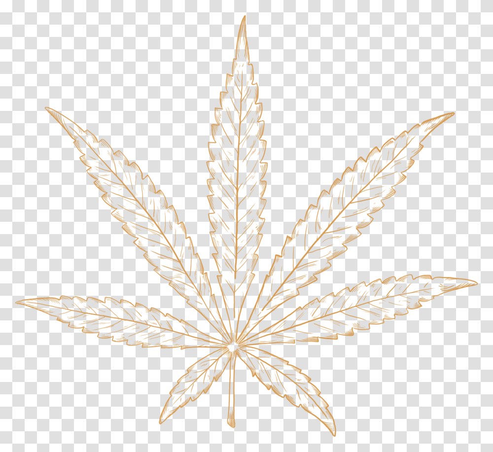 Illustraion Of An Sativa Strain Of Cannabis Plant Illustration, Leaf, Tree, Weed, Maple Leaf Transparent Png