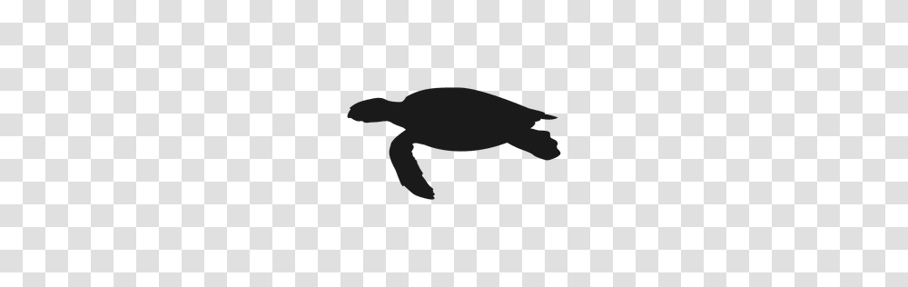 Illustrated And Isolated Turtle, Sea Turtle, Reptile, Sea Life, Animal Transparent Png