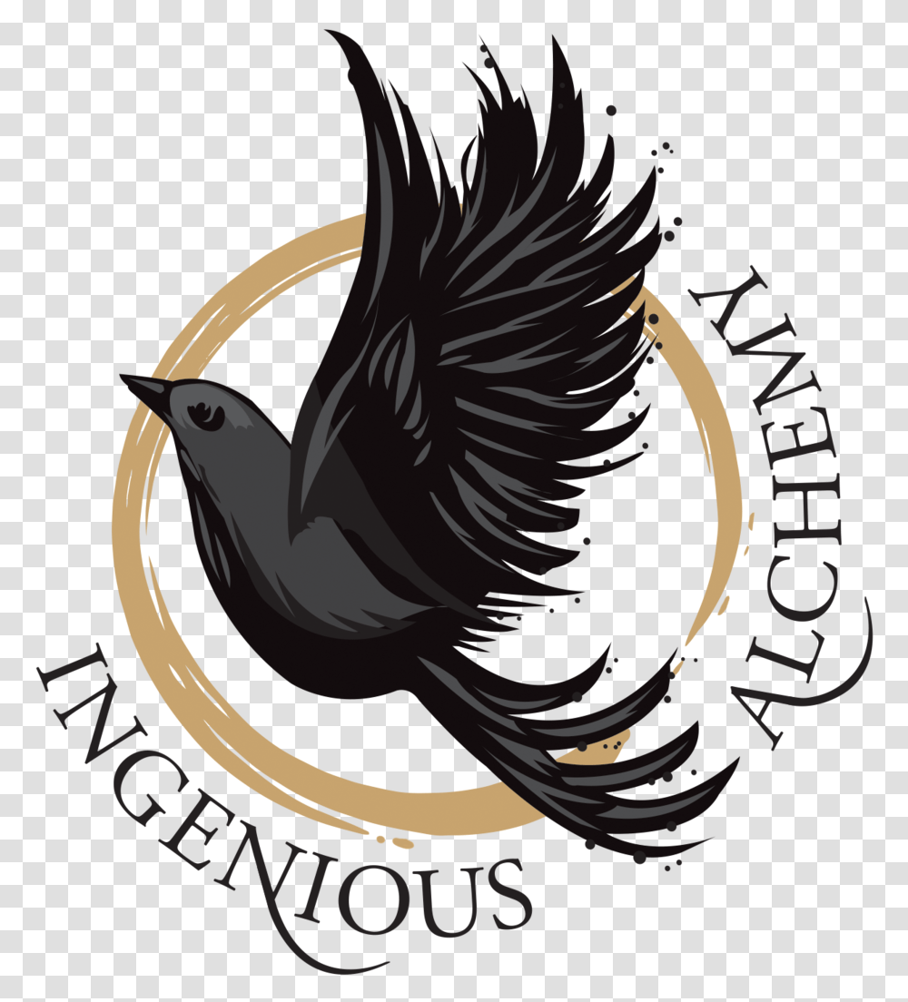 Illustration, Animal, Bird, Blackbird, Agelaius Transparent Png