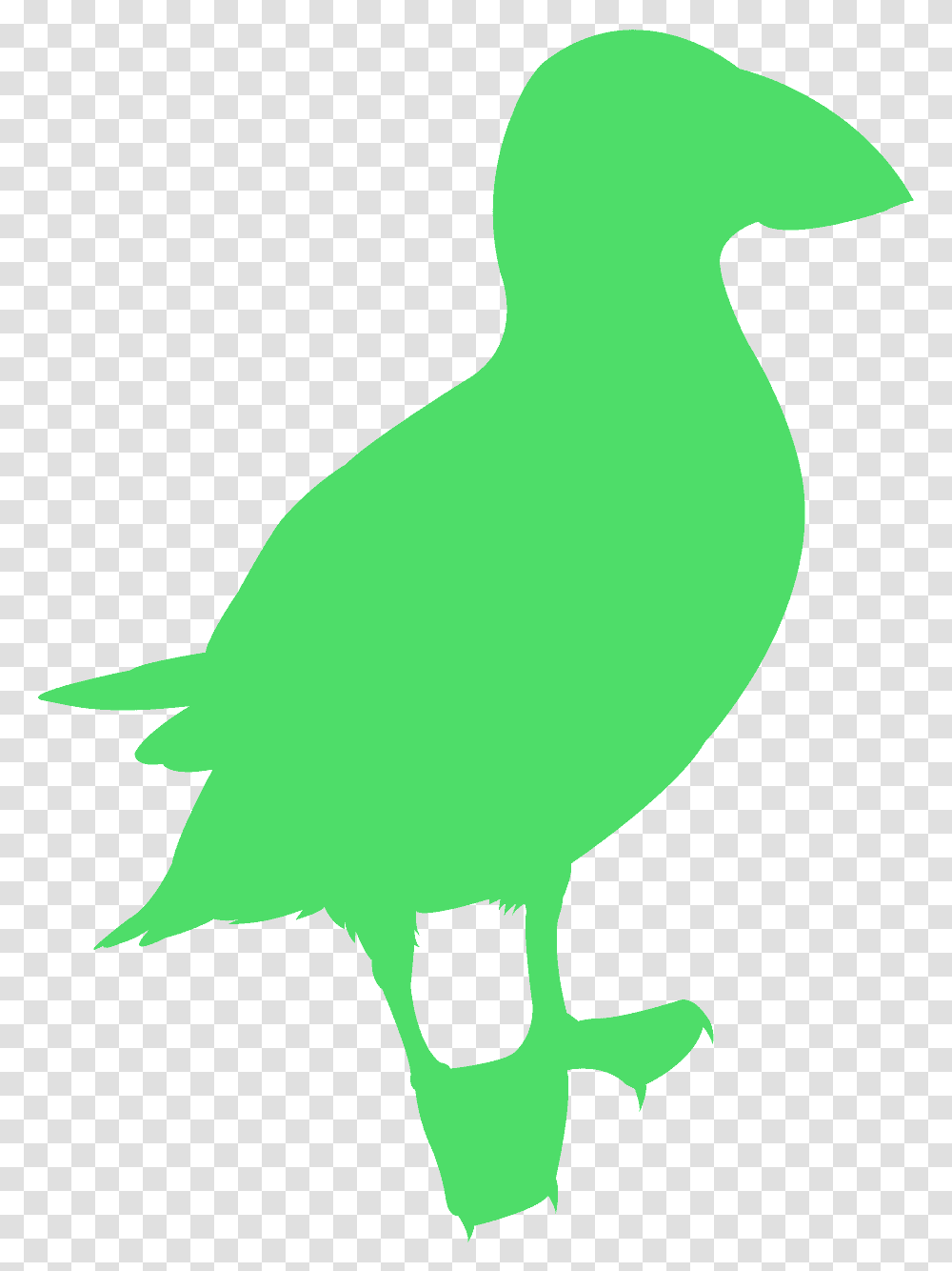 Illustration, Animal, Bird, Dodo, Person Transparent Png