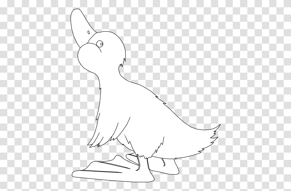 Illustration, Animal, Bird, Drawing Transparent Png