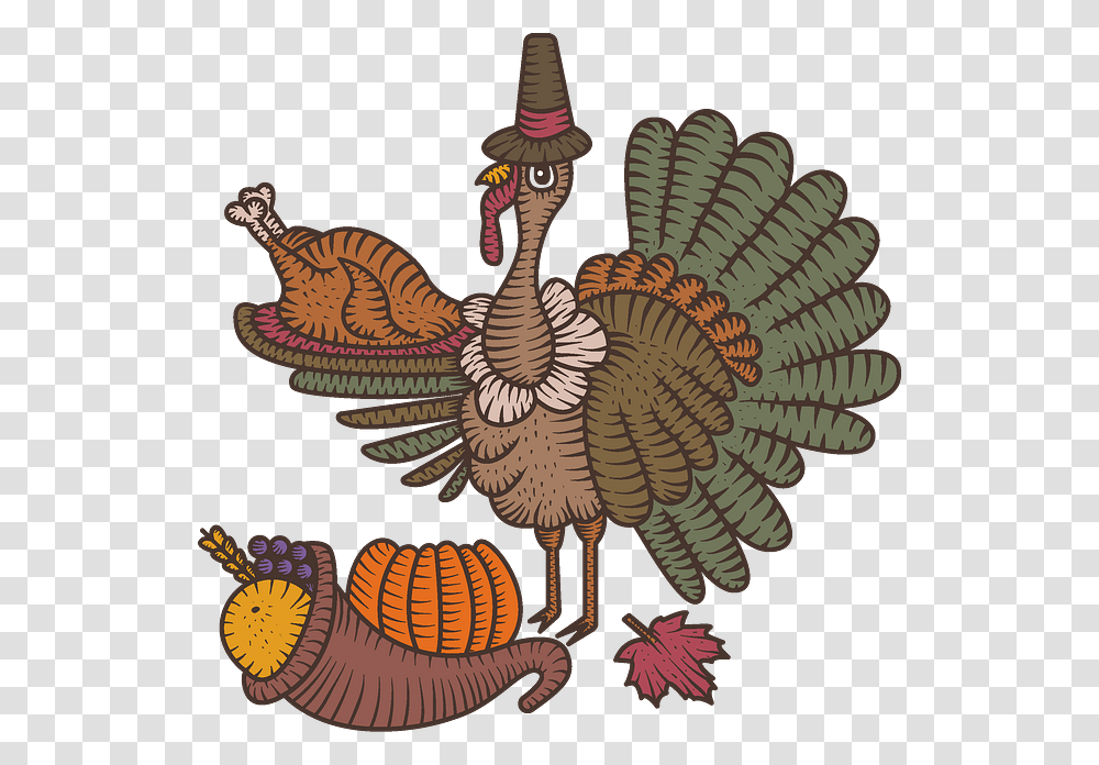 Illustration, Animal, Bird, Turkey Bird, Poultry Transparent Png