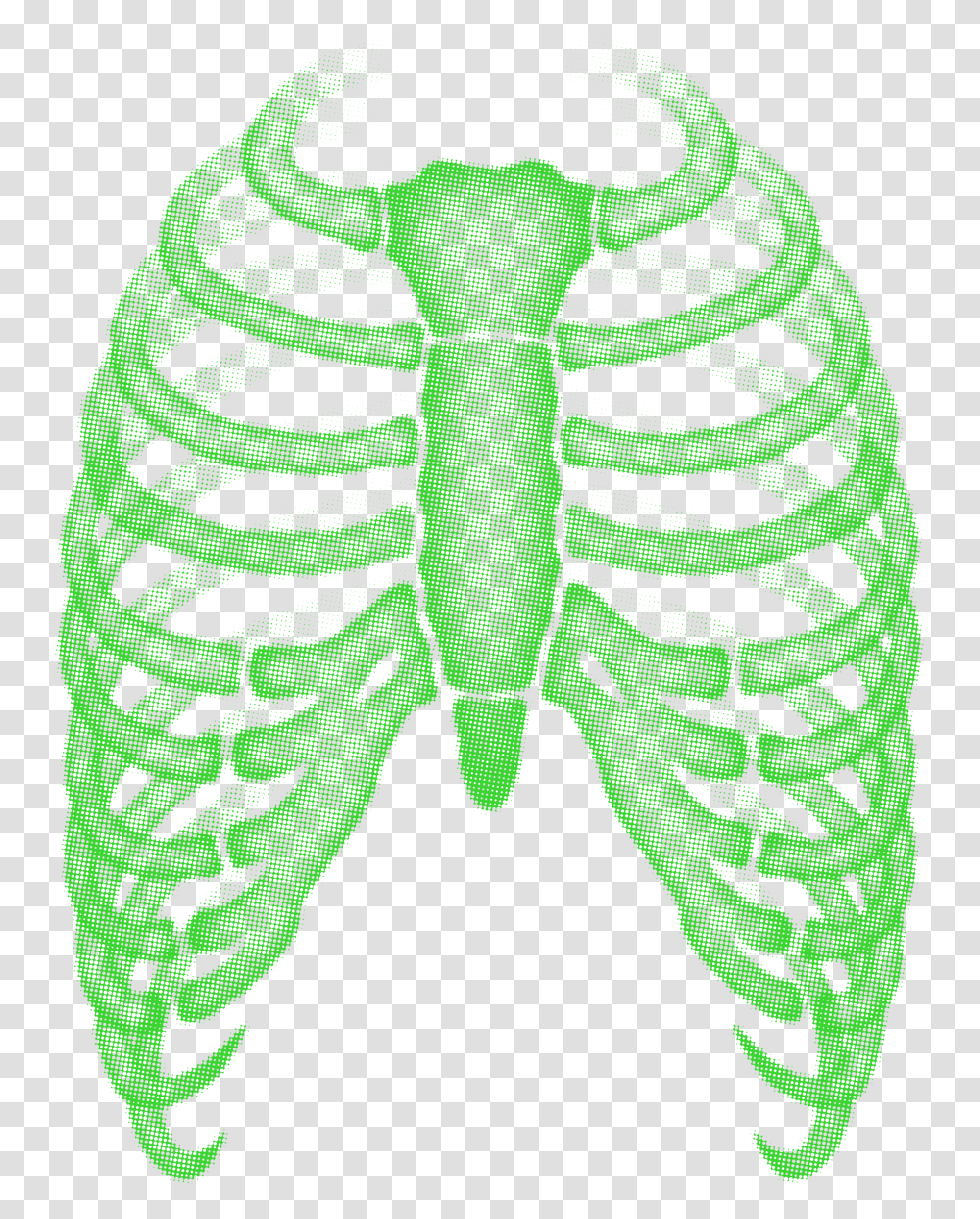Illustration, Animal, Invertebrate, Insect, Person Transparent Png