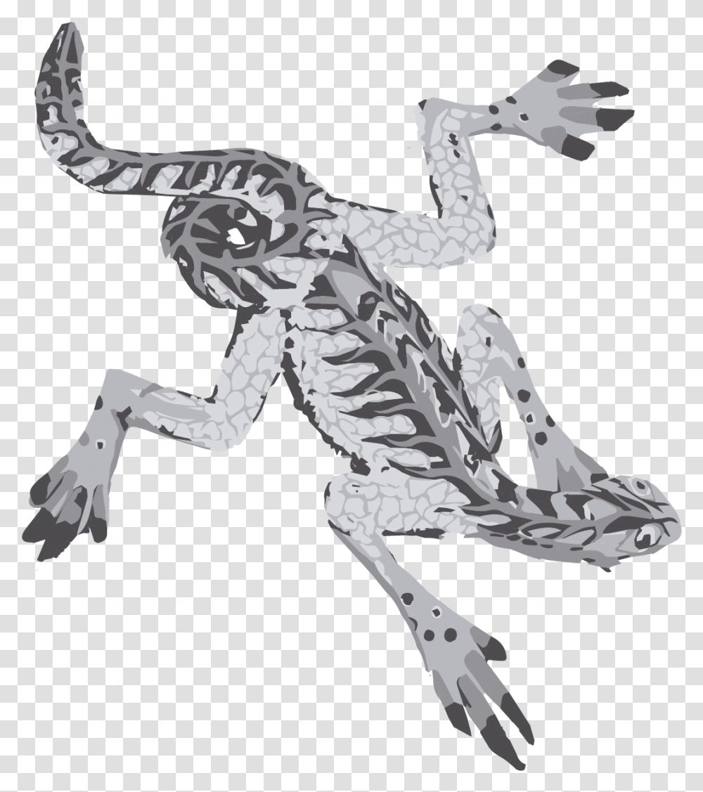 Illustration, Animal, Person, Human, Gecko Transparent Png