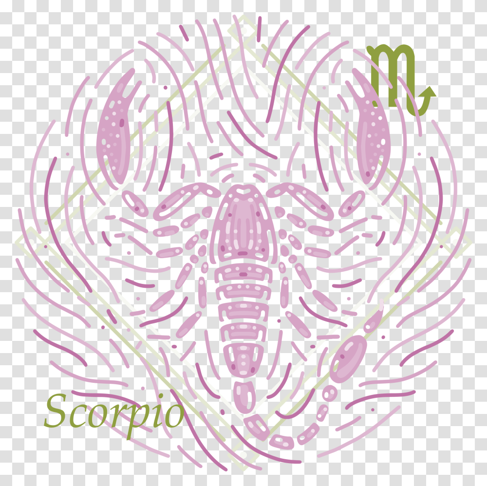 Illustration, Animal, Spider, Invertebrate, Pattern Transparent Png