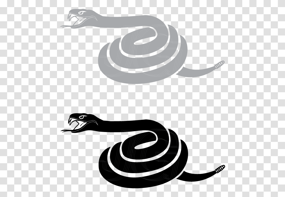 Illustration, Animal, Spiral, Coil, Camera Transparent Png
