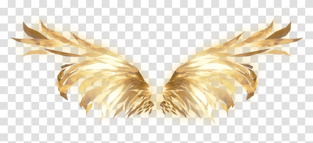 Illustration, Bird, Flare Transparent Png