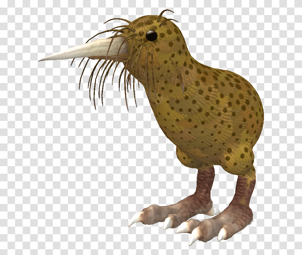 Illustration, Bird, Animal, Beak, Kiwi Bird Transparent Png