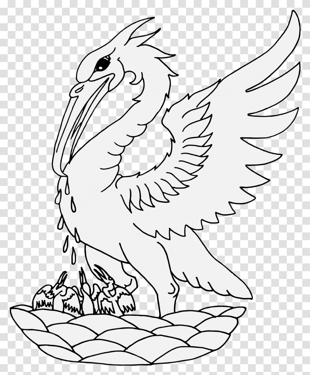 Illustration, Bird, Animal, Beak, Pelican Transparent Png