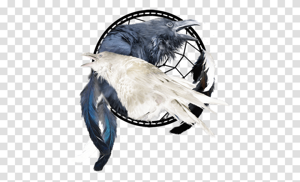 Illustration, Bird, Animal, Crow, Jay Transparent Png